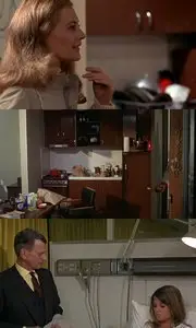 Petulia (1968) 