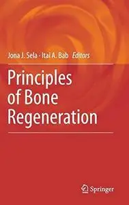 Principles of Bone Regeneration