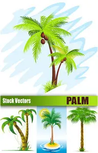 Stock Vectors - Palm