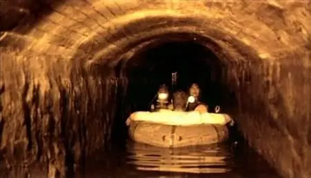 Lars von Trier-Forbrydelsens element (1984)