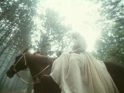 Save and Protect (Madame Bovary) / Спаси и сохрани (1990)