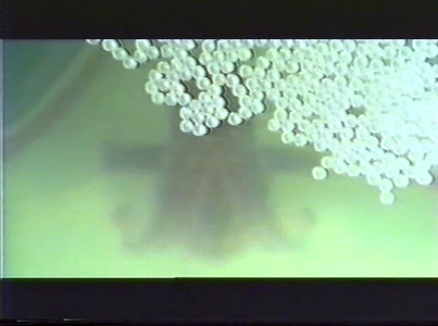 Cremaster 5 by Matthew Barney