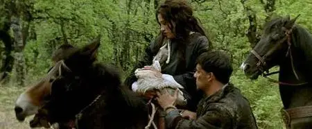(Aventure)  Rencontre avec le dragon  [DVDrip]