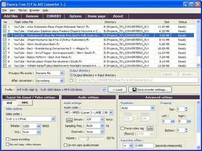 Pazera Free FLV to AVI Converter 1.2