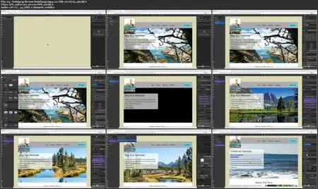 Webflow - Collections and CMS