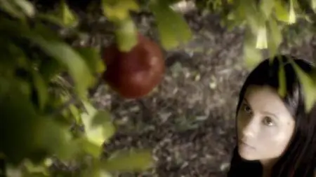 The Story of God with Morgan Freeman S01E05