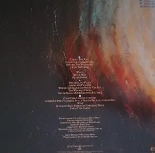 David Sylvian - Gone To Earth (1986) [double LP] (24-96 vinyl rip)