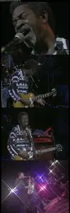 Luther Allison - Live in Paradise (1997) [DVD5] Repost