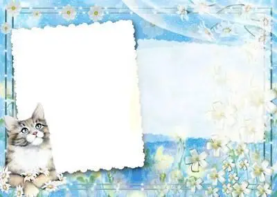 Cat Frame for Photoshop