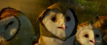 Legend of the Guardians: The Owls of Ga'Hoole / Die Legende der Waechter (2010)