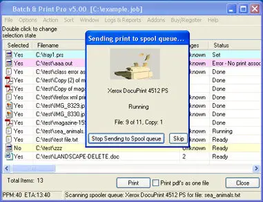 Traction Software Batch and Print Pro v5.00