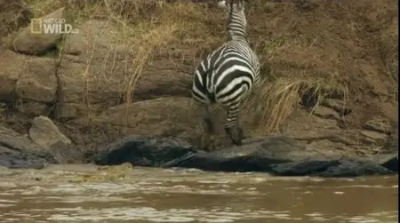 National Geographic - Wild: Blood River (2013)