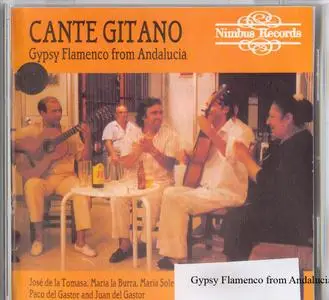 J. Tomasa, M.Burra, M.Solea, P. & J. del Gastor - Gypsy Flamenco from Andalucia - 1988