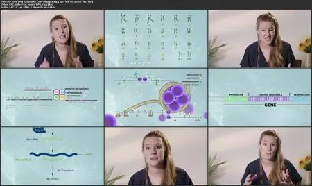 TTC Video - Epigenetics: How Environment Changes Your Biology