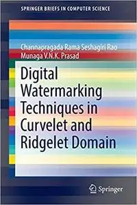 Digital Watermarking Techniques in Curvelet and Ridgelet Domain (Briefs in Computer Science) [Repost]