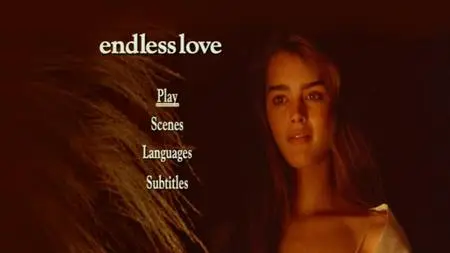 Endless Love (1981)