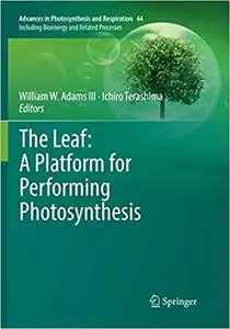 The Leaf: A Platform for Performing Photosynthesis (Repost)