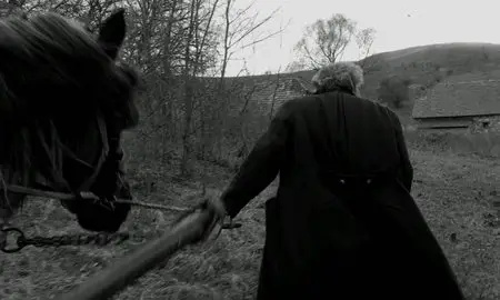 A Torinói ló (2011)