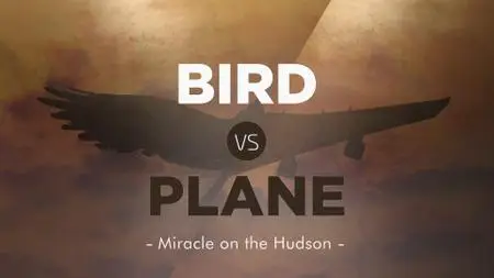 Bird vs. Plane: Miracle on the Hudson (2019)