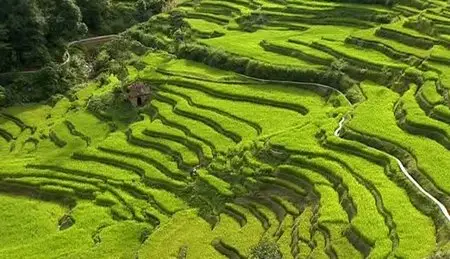 (Arte) La Chine des rizières célestes (2011)
