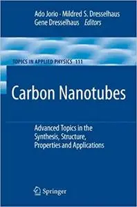 Carbon Nanotubes: Advanced Topics in the Synthesis, Structure, Properties and Applications (Repost)