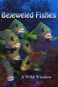 Wild Window: Bejeweled Fishes (2016)