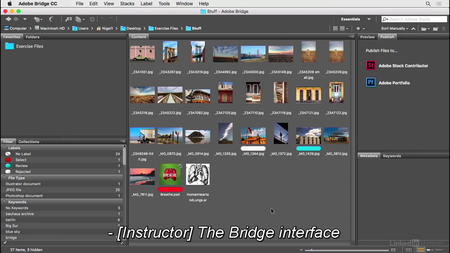 Lynda - Photoshop for Designers: Working with Bridge