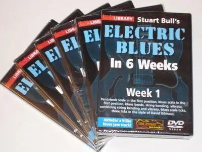 Electric Blues In 6 Weeks: Weeks 1-6