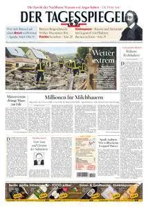 Der Tagesspiegel - 31 Mai 2016