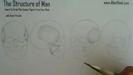 The Structure of Man HD [repost]