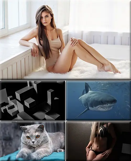 Computer Desktop Wallpapers Collection. Part (2484)