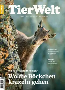TierWelt - 29 Mai 2025