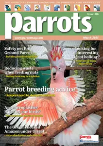 Parrots - March 2025