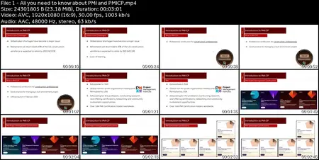 PMI-CP Certification Exam Prep Course