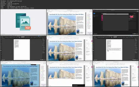 Adobe Acrobat Basics: Features Everyone Should Know