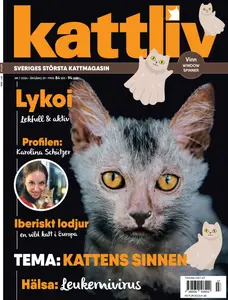 Kattliv - 16 Oktober 2024