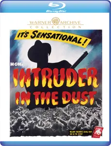 Intruder in the Dust (1949)