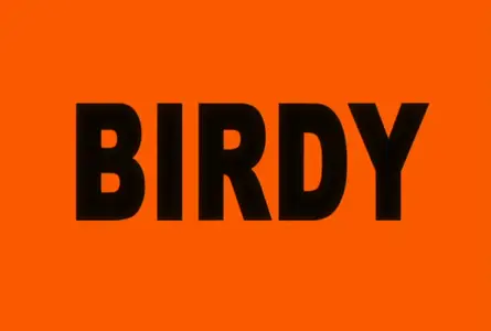 Birdy the Mighty Decode - 12 (DVD 480p