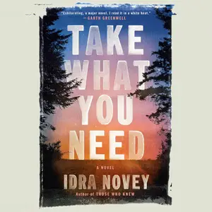 Take What You Need: A Novel