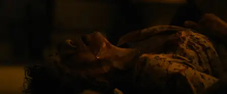Vicious (2025)