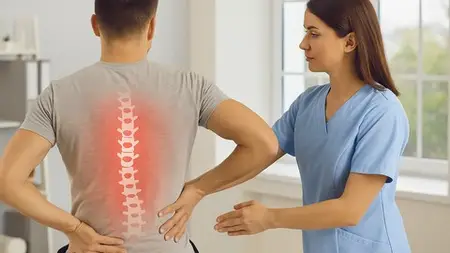 Fix Your Back: A Physiotherapist’S Guide To Pain Free Living
