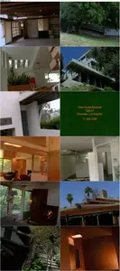 Schindler's Houses (2007)