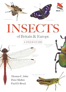 Insects of Britain and Europe: A Field Guide