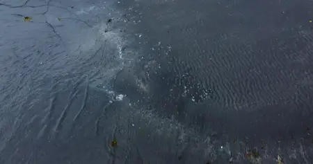Sacred Alaska (2023)