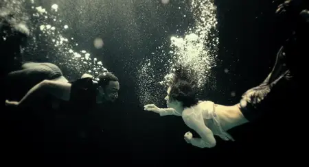 Shelter (2014)