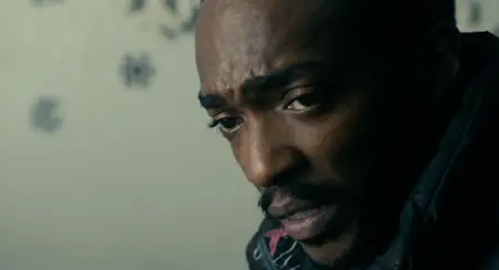 Shelter (2014)