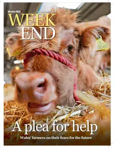 Western Mail - 27 July 2024