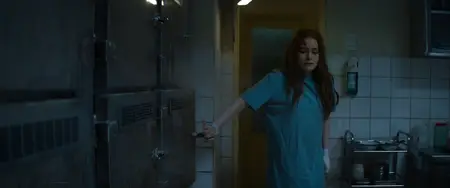 The Strangers: Chapter 2 (2025)