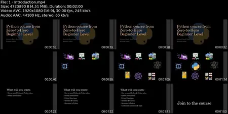 Python from Zero-to-Hero (Beginner Level)