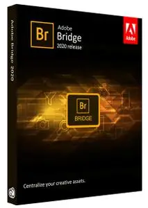 Adobe Bridge 2024 v14.0.0.102 (x64) Multilingual